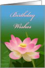 Mom Birthday Nelumbo Nucifera Pink Sacred Lotus Flower card
