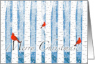 Merry Christmas Winter Scene with Cardinals and Birch Trees card