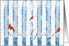 Season’s Greetings with Cardinals in Birch Trees and Snow card