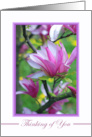 Thinking of You for Godparents with Magnolias In Bloom card
