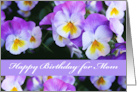 Mom Birthday with Violet Pansy Flowers card