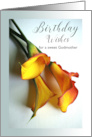 Godmother Birthday Wishes with Mango Colored Calla Lily Flowers card