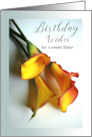 Sister Birthday with Mango Colored Calla Lilies Photograph card
