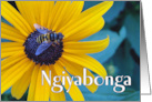 Ngiyabonga Thanks in Zulu with Bee on Black Eyed Susan card
