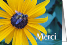 Merci Thanks in French with Bee on Black Eyed Susan card
