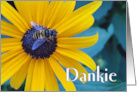 Dankie Thanks in Afrikaans with Bee on Black Eyed Susan card