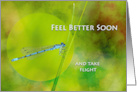 Feel Better Soon with Damselfly on Blade of Grass card