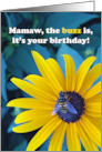 Mamaw Birthday with Honey Bee on a Brown Eyed Susan card