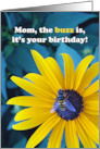 Mom Birthday with Honey Bee on Black Eyed Susan Photograph card