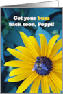 Poppi Get Well with Bee on Black Eyed Susan Flower card