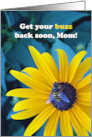 Mom Get Well with Bee on Black Eyed Susan Flower card
