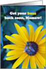 Mamaw Get Well with Bee on Black Eyed Susan Flower card