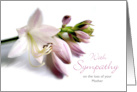 Mother Sympathy with Hosta Blooms in Mauve Colors card