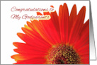 Congratulations to Godparents on Wedding with Gerbera Daisy card