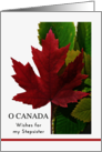 For Stepsister on Canada Day with Red Maple Leaf on Green Leaves card