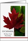 From Manitoba Canada Day with Red Maple Leaf on Green Leaves card