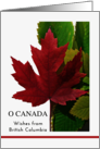 From British Columbia Canada Day with Red Maple Leaf card