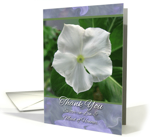 Thank You Sister-in-Law and Maid of Honour with Vinca Flower card