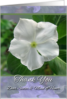 Thank You Sister and Maid of Honor with White Vinca Flower card
