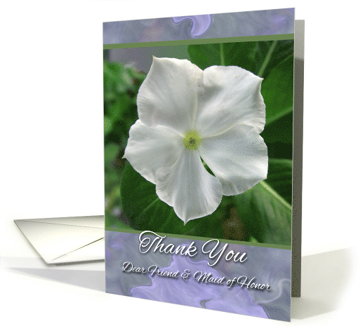 Thank You Friend and Maid of Honor with White Vinca Flower card