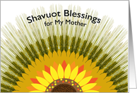 For Mother Shavuot Blessings with Barley Sun Design card