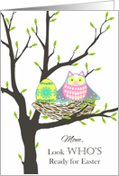 Easter for Mom from Son, Easter Owl in Nest With Egg card