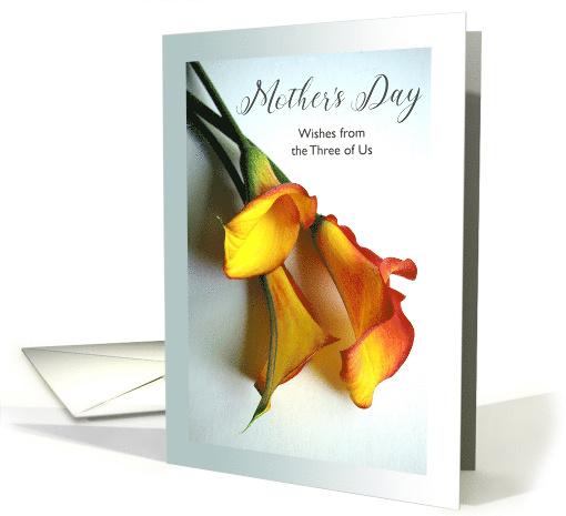 Mom from Triplets Mother's Day with Mango Calla Lilies Photograph card