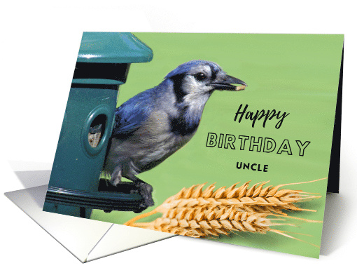 Birthday for Uncle with Blue Jay on Bird Feeder card (1095964)