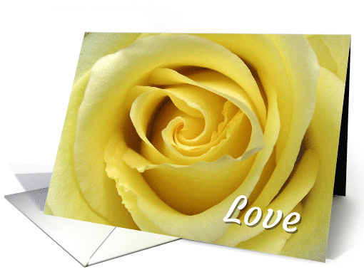 Vow Renewal Invitation with Close Up of a Yellow Rose card (1103208)