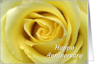 Happy Anniversary with Yellow Rose In Macro card