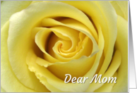 Birthday for Mom from Daughter with Yellow Rose Up Close card