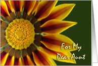 Nurses Day for Aunt with Gazania Flower Up Close card