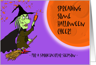 Halloween for Spooktacular Stepson, Witch with Potion card