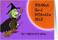 Halloween for Spooktacular Godson, Witch with Potion card
