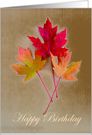 Happy Autumn Season Birthday for Her with Fall Leaves card