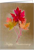 Happy Autumn Wedding Anniversary, Fall Leaves card