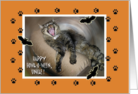 Funny Halloween for Uncle with Howling Yawning Cat card
