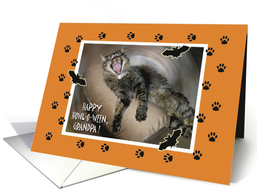 Funny Halloween for Grandpa with Yawning Cat card (1184320)