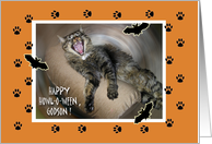 Funny Halloween for Godson with Yawning Cat card