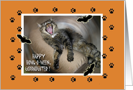 Funny Halloween for Goddaughter with Yawning Cat card