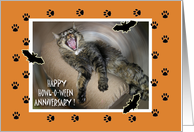 Halloween Wedding Anniversary Cards from Greeting Card Universe