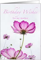 Birthday for Mom with Poem, Purple Cosmos Flowers card