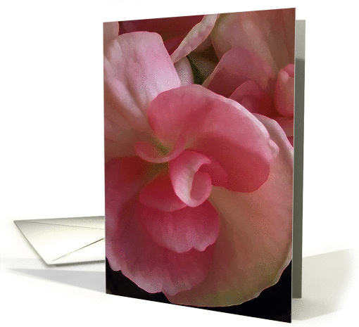 Cousins Day for Female, Pink Begonia Flower, Digital Painting card