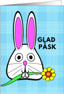 Swedish Easter Glad Pask with Bunny Holding a Flower in Its Mouth card