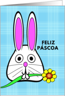 Portuguese Easter Feliz Pscoa with Bunny Holding a Flower in Mouth card