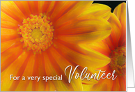 For Volunteer Birthday Poem with Gazania Flowers Painting card
