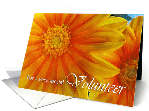 Thank You for Volunteer, Yellow Orange Gazania Flowers card (1267496)