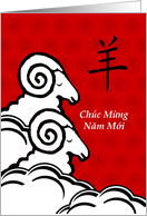 Chuc Mung Nam Moi Tet Vietnamese New Year in Vietnamese card