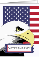 Veterans Day with Bald Eagle and American Flag in Modern Design card