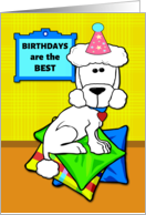 Birthdays Are the Best with Standard Poodle on Colorful Pillows card